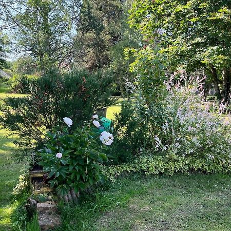 Gites Chambres D'Hotes Entre Terre & Mer Souvigny-en-Sologne Kültér fotó