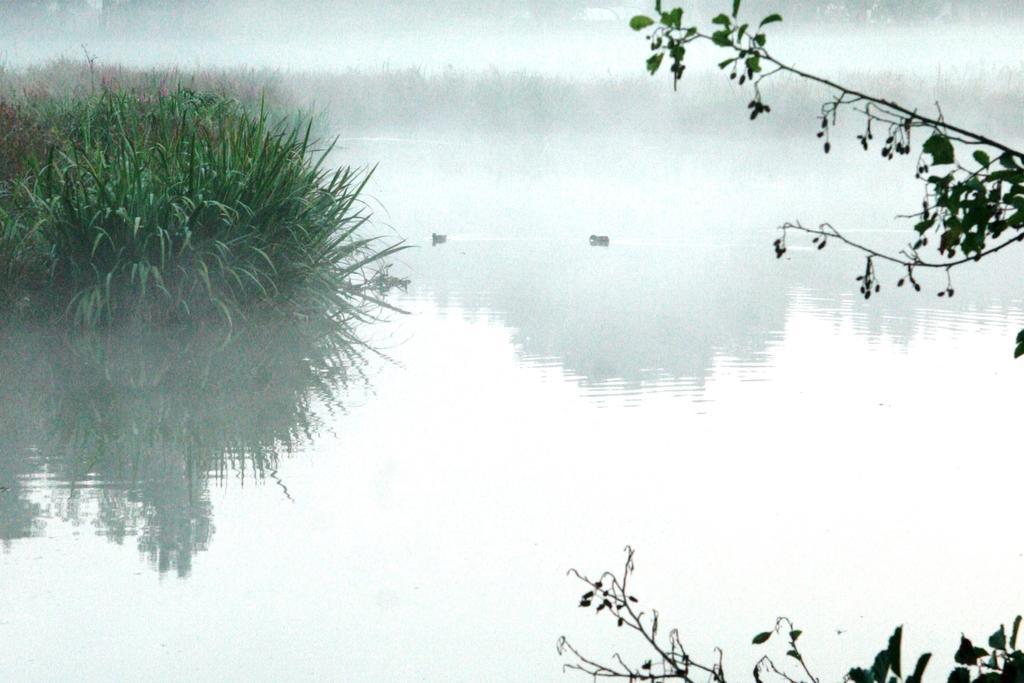 Gites Chambres D'Hotes Entre Terre & Mer Souvigny-en-Sologne Kültér fotó